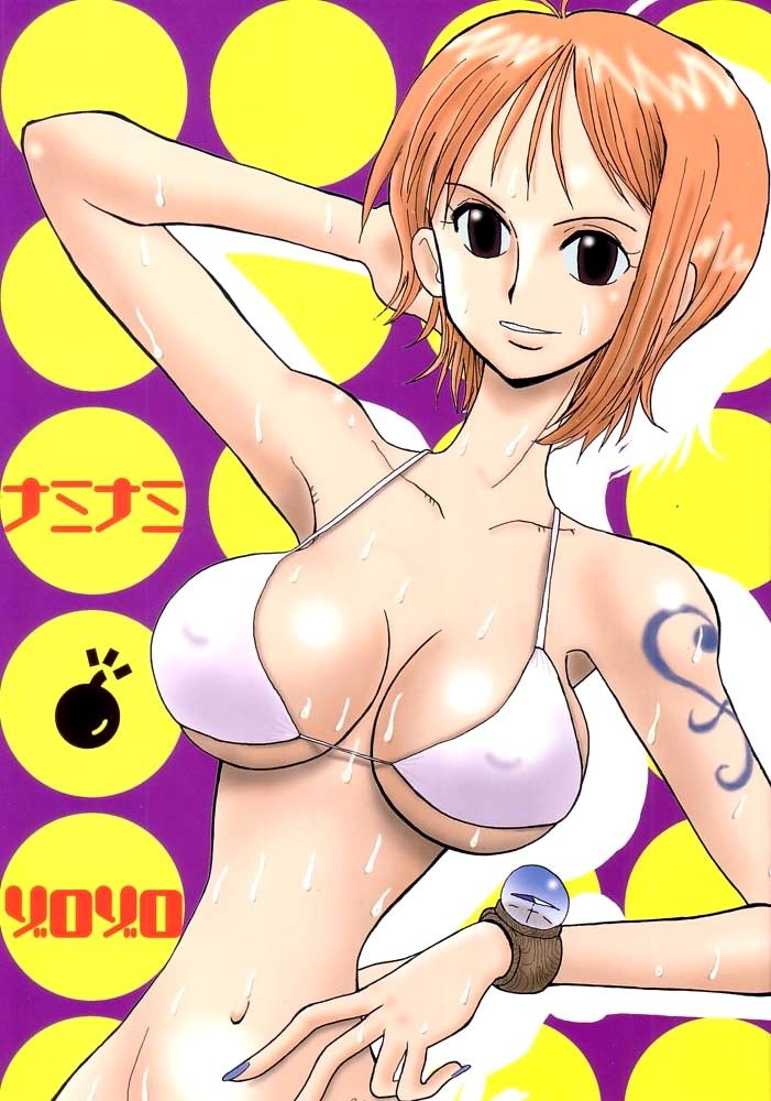 one piece gallery 2