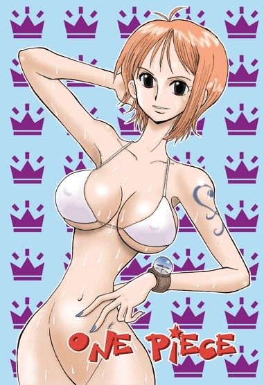 one piece gallery 258