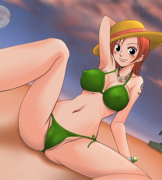 one piece gallery 335