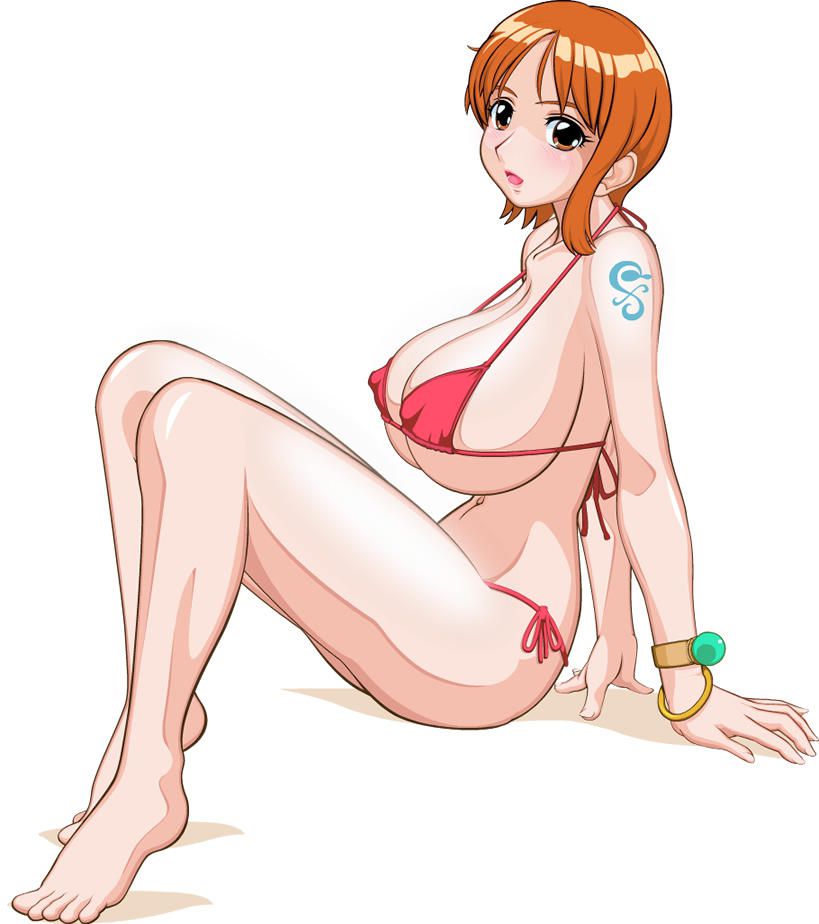 one piece gallery 45