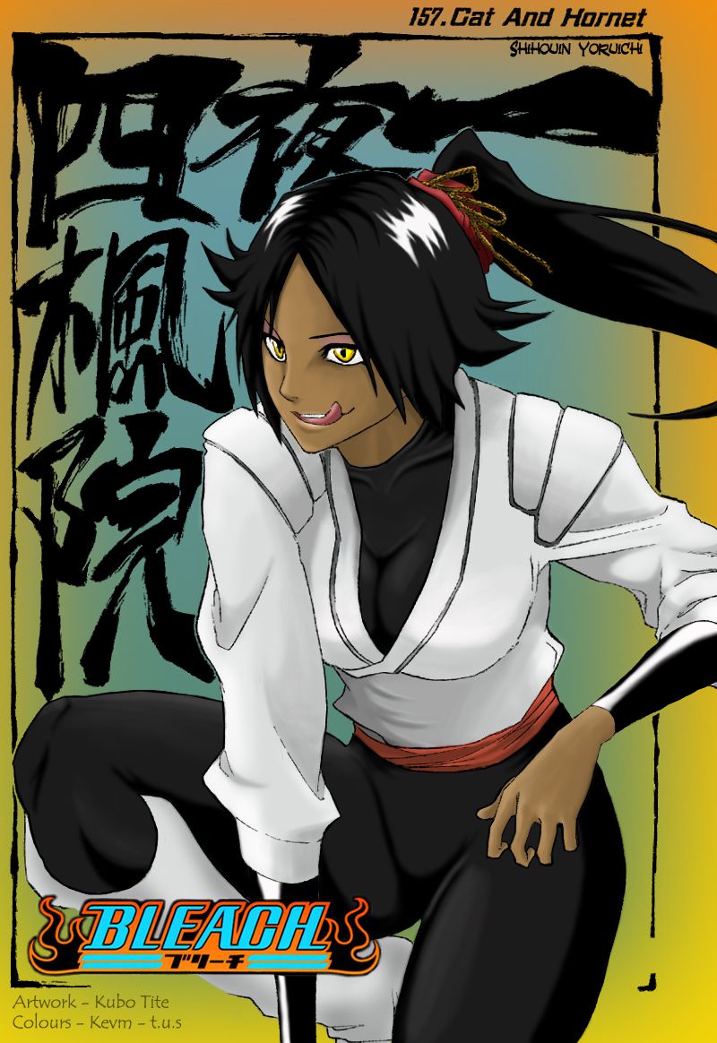 Pr0n Glutton's Yoruichi Shihouin Collection (Bleach) 107