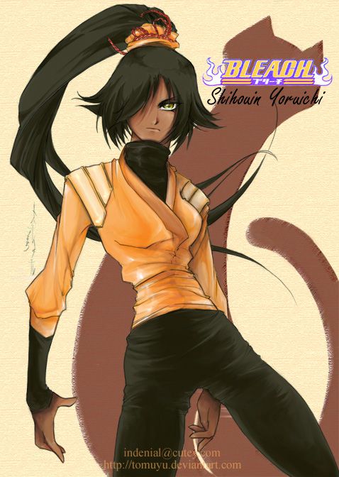 Pr0n Glutton's Yoruichi Shihouin Collection (Bleach) 120