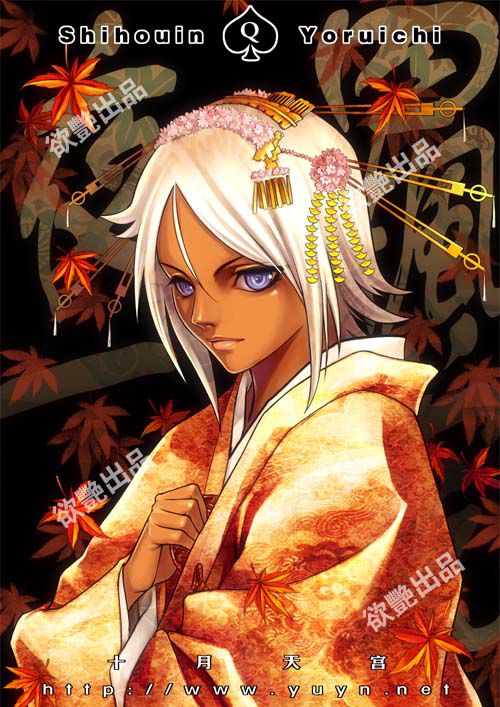 Pr0n Glutton's Yoruichi Shihouin Collection (Bleach) 22