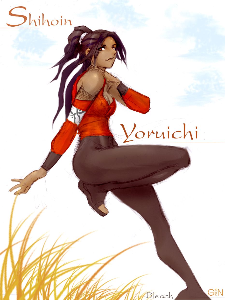 Pr0n Glutton's Yoruichi Shihouin Collection (Bleach) 95