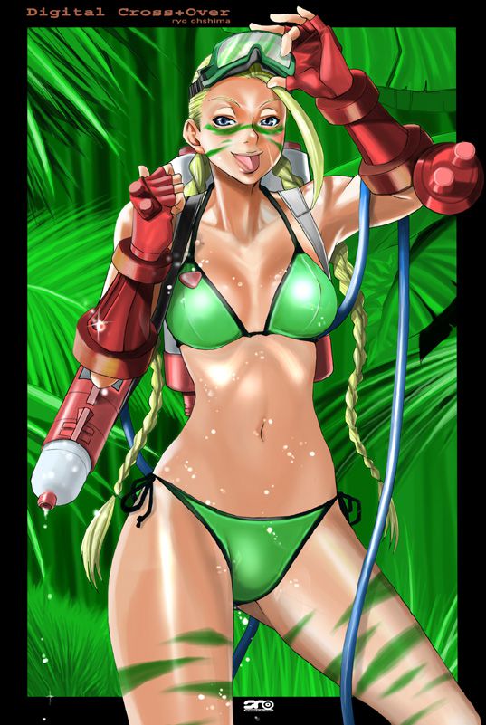 Street Fighter Cammy Image set 02 56