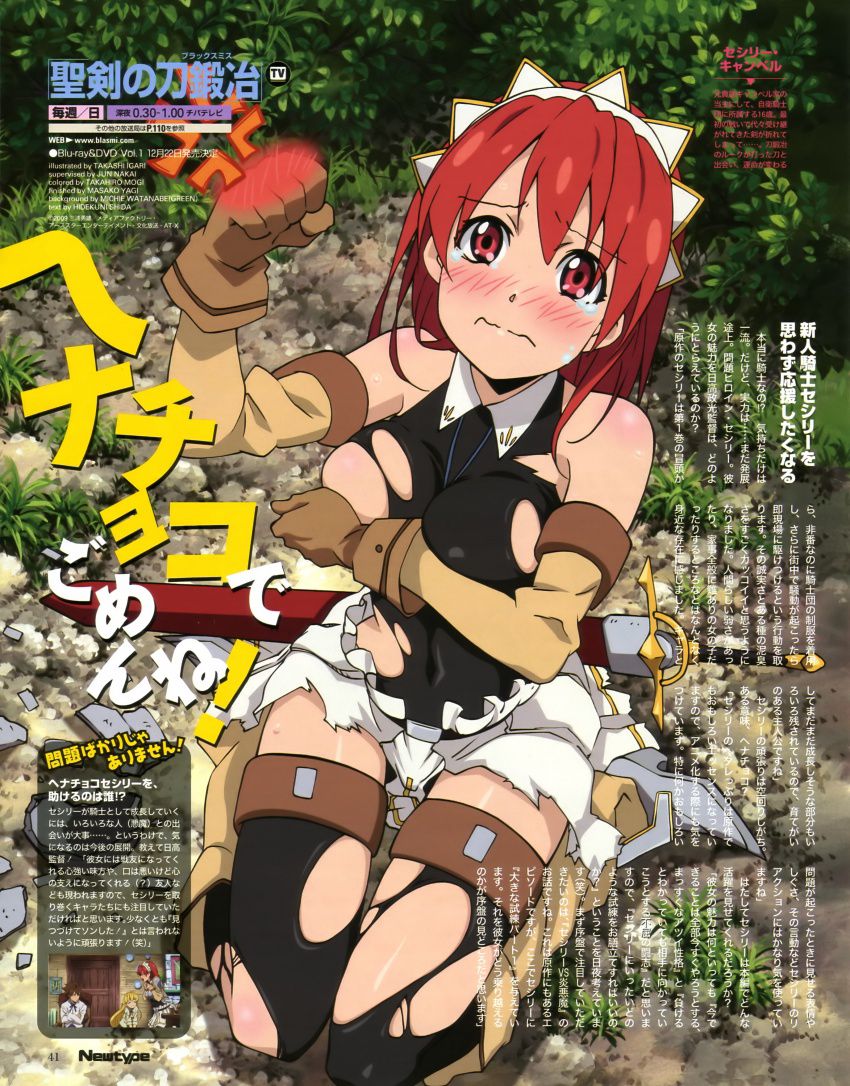 Seiken no blacksmith 20