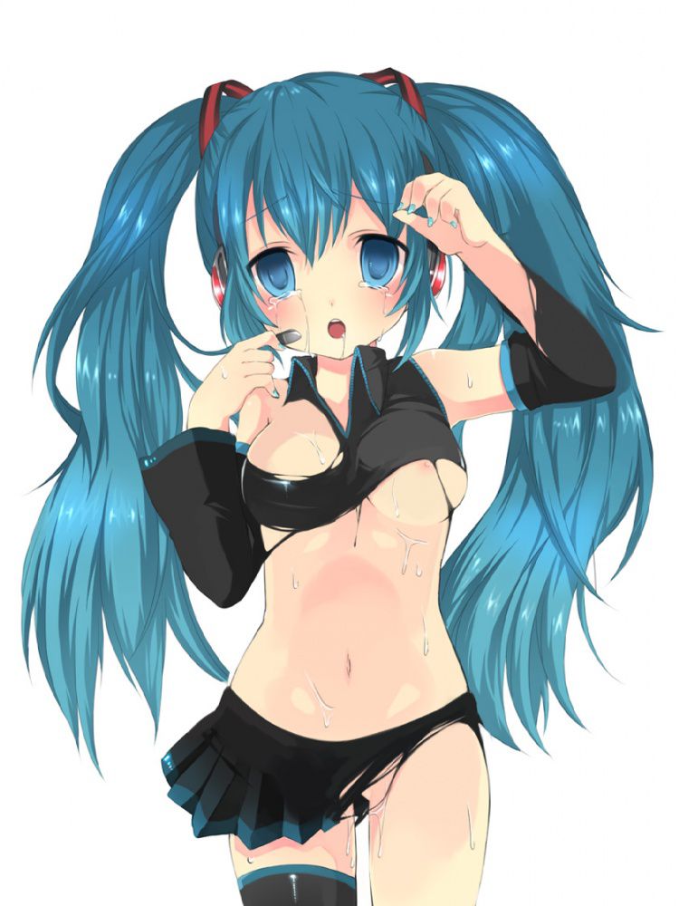 Hatsune Miku Eechi 1