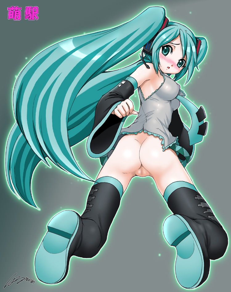 Hatsune Miku Eechi 10