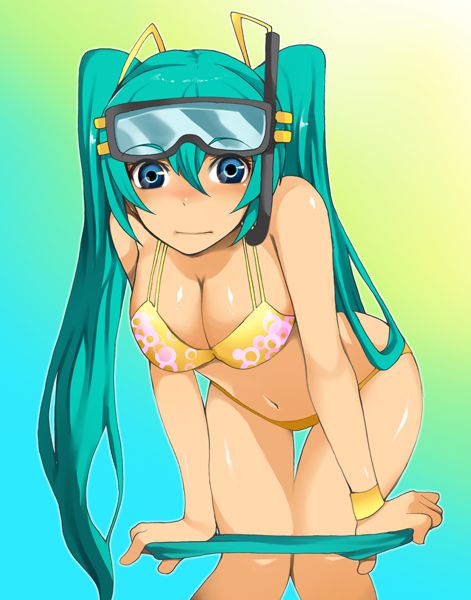 Hatsune Miku Eechi 23