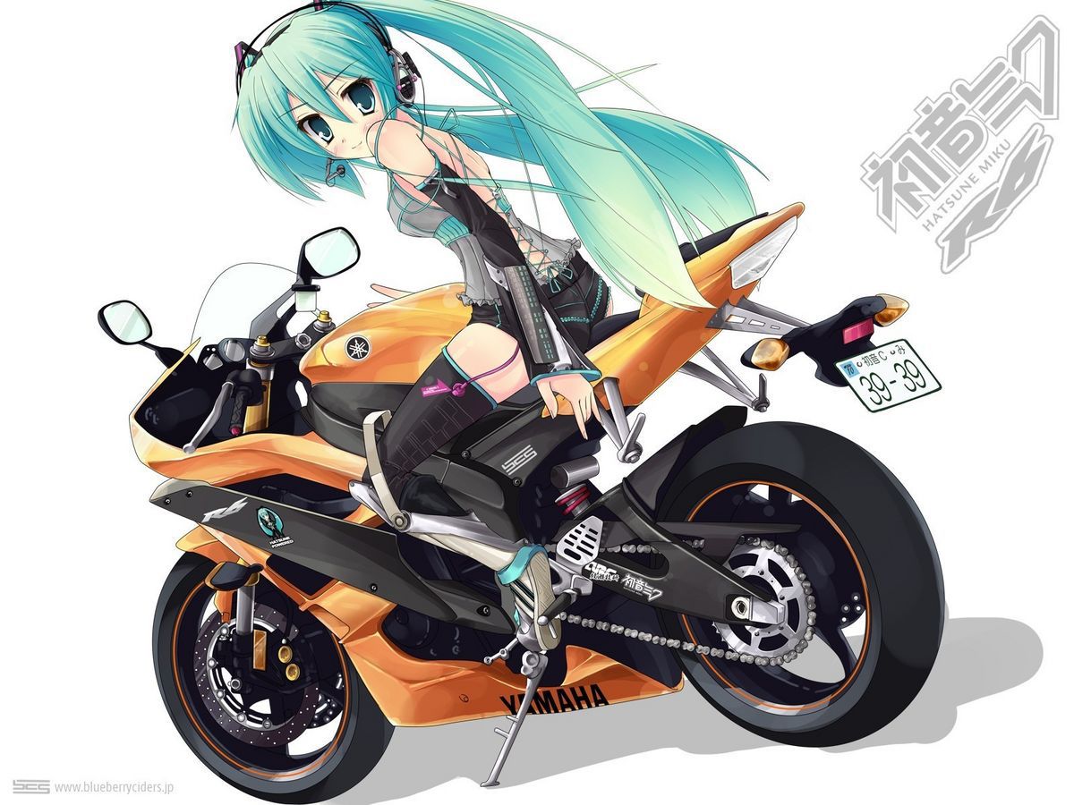 Hatsune Miku Eechi 29