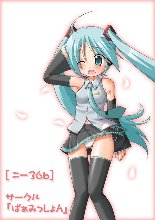 Hatsune Miku Eechi 41