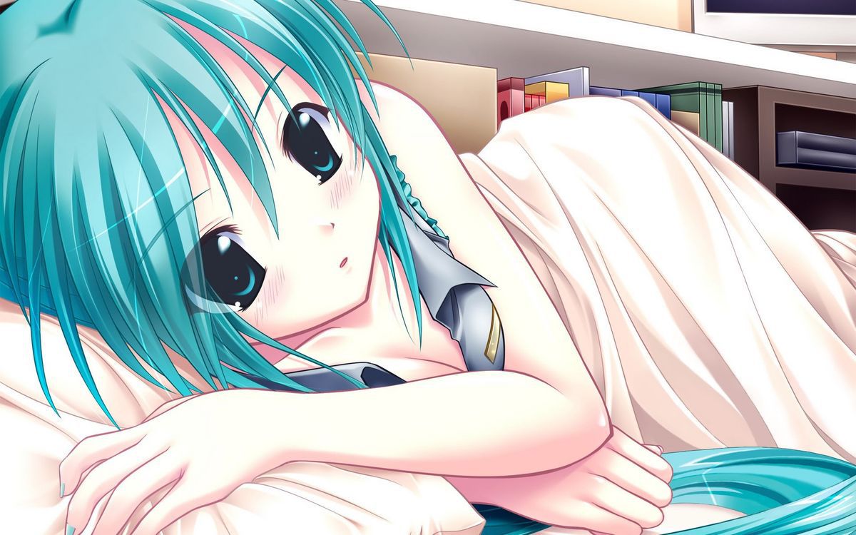 Hatsune Miku Eechi 47