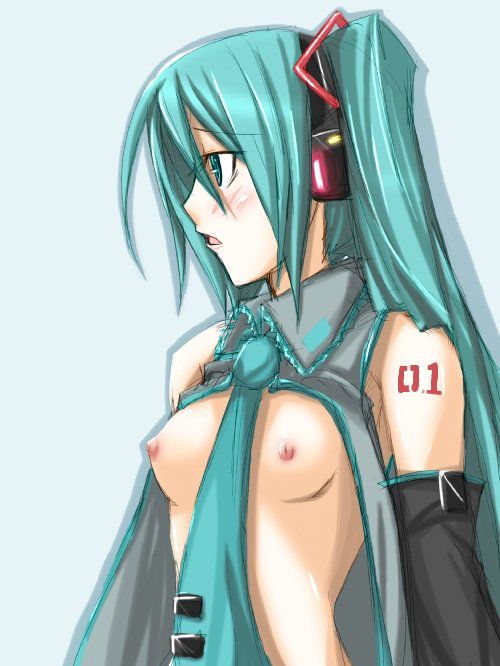 Hatsune Miku Eechi 48