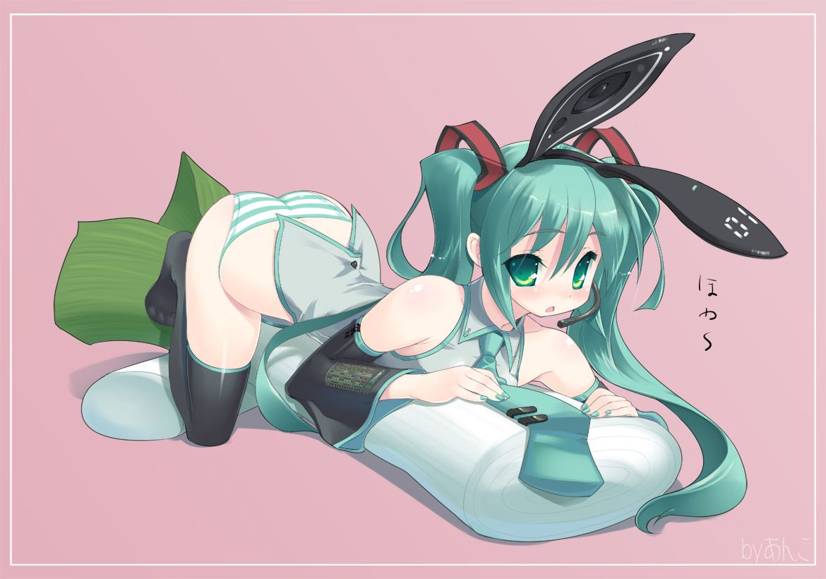 Hatsune Miku Eechi 51