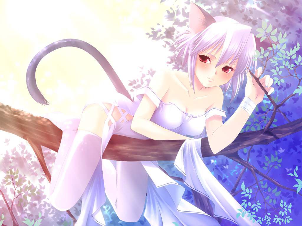 Random Catgirls 4 115