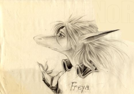 Freya 109