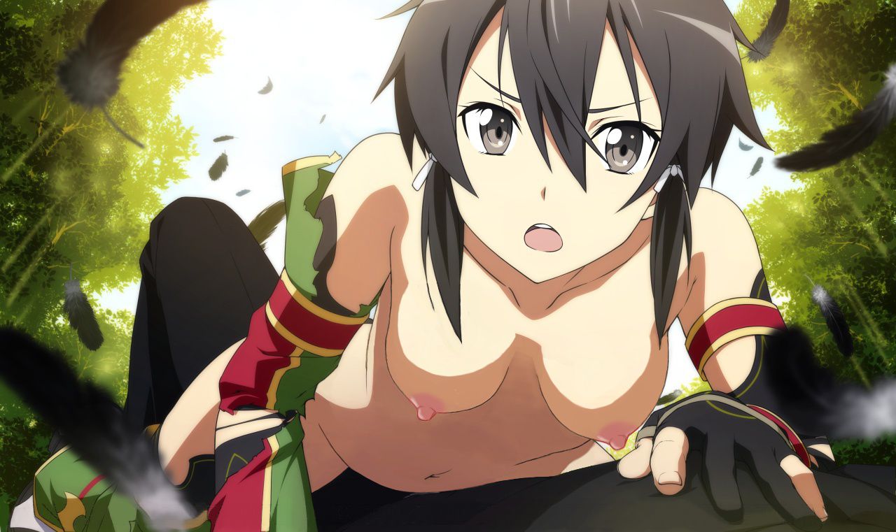 【Secondary Erotic】 Sword Art Online Stripped Coraello images of heroines appearing are here 22
