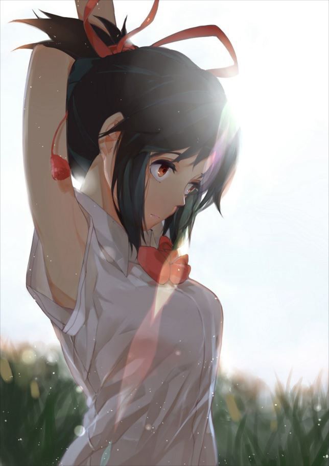 Take the erotic images out of Summer Wars! 2