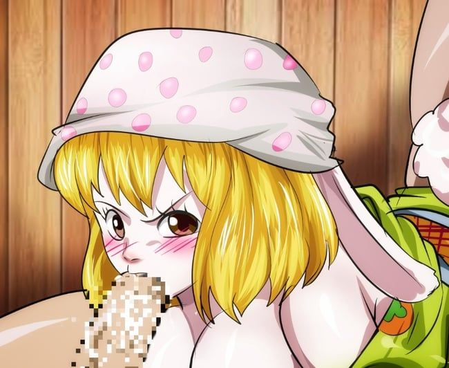Erotic image of One Piece [Carrot] 32