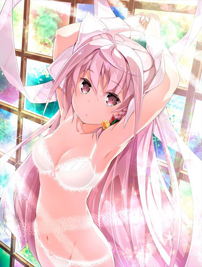 【Erotic Anime Summary】 Please see the appearance of beautiful girls and beautiful girls without hail in one piece of underwear 【40 photos】 22