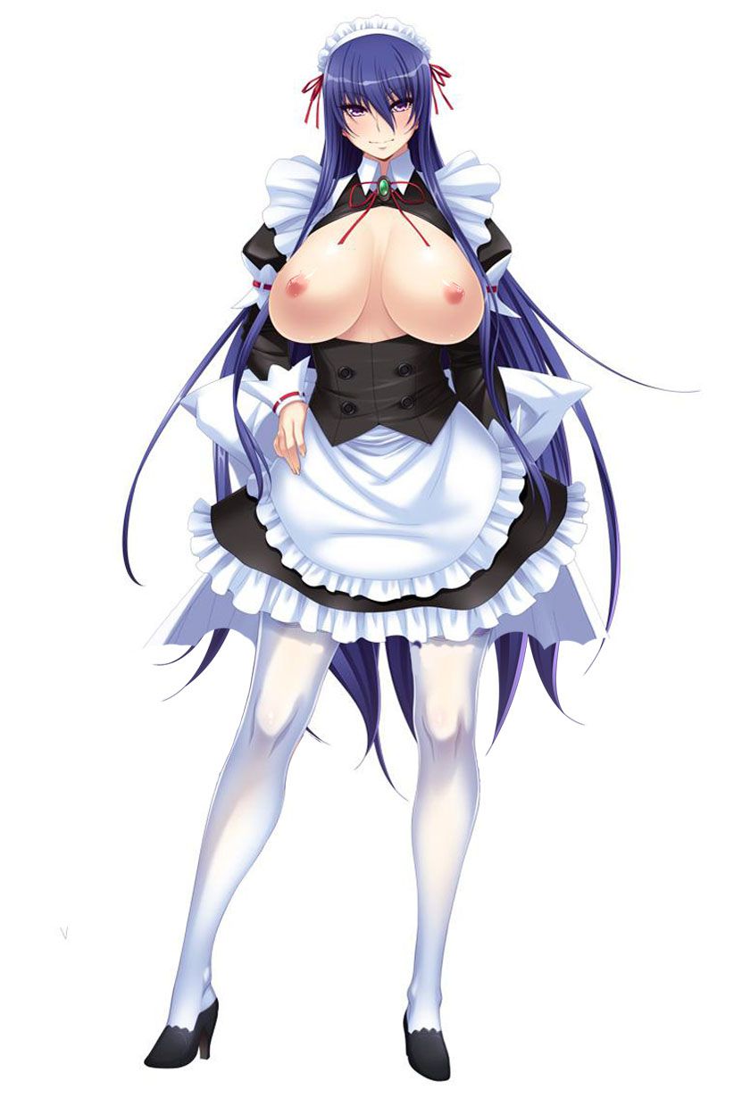 【Secondary Erotic】 Erotic image of a cute maid who comes to serve you skepticism 12