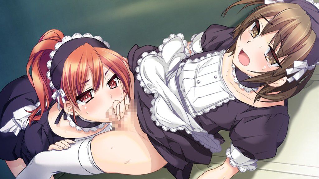 【Secondary Erotic】 Erotic image of a cute maid who comes to serve you skepticism 15