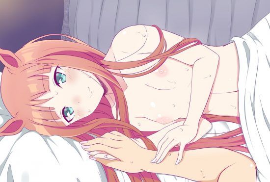【Secondary erotic】 Secondary dosukebe image of Pettanko girl who has no problem because it is small but dosukebe 19
