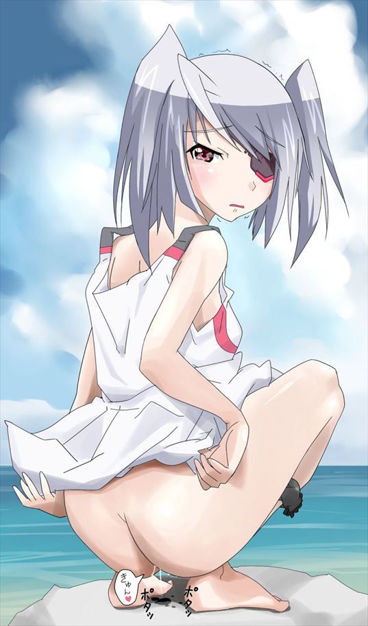 Get lewd and obscene images of Infinite Stratos! 13