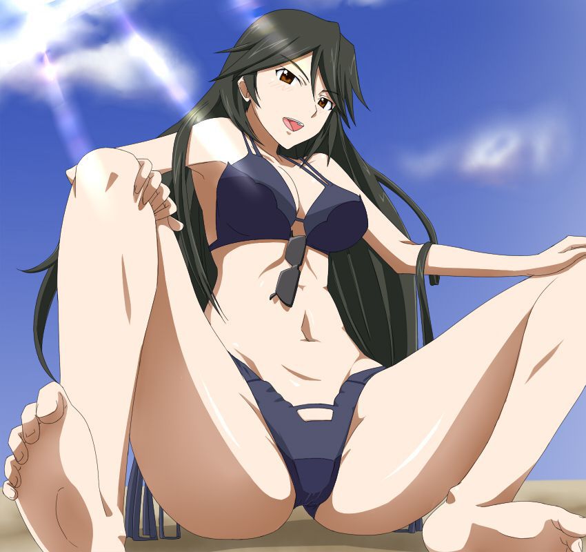 Get lewd and obscene images of Infinite Stratos! 17