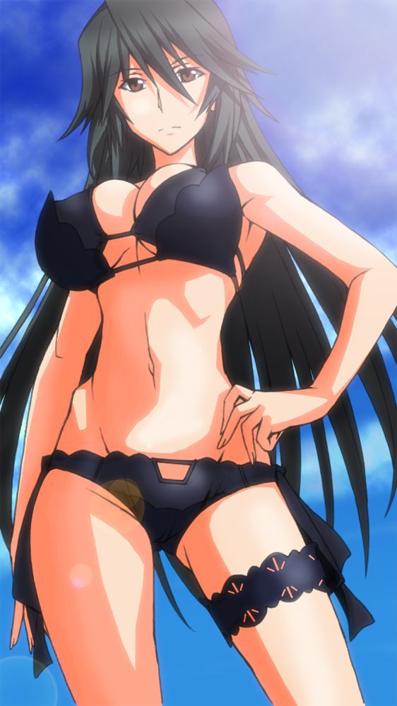 Get lewd and obscene images of Infinite Stratos! 18