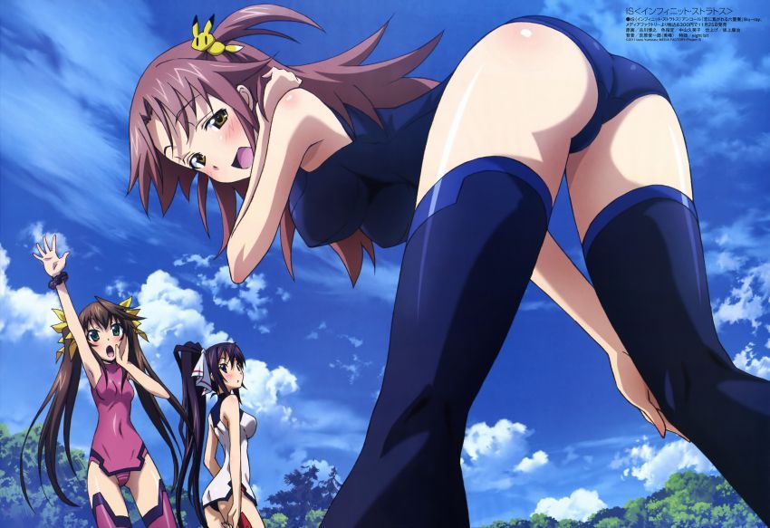 Get lewd and obscene images of Infinite Stratos! 19
