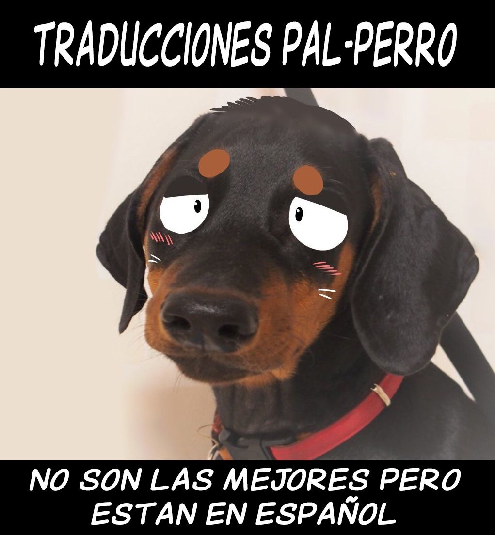 [Stedilnik] 24/7[textless] [Pal-Perro] 41