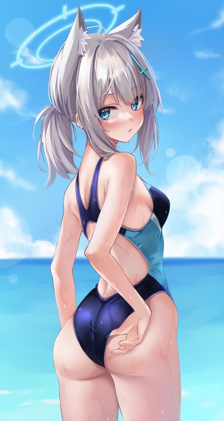 Swimsuits are erotic, aren't they? 5