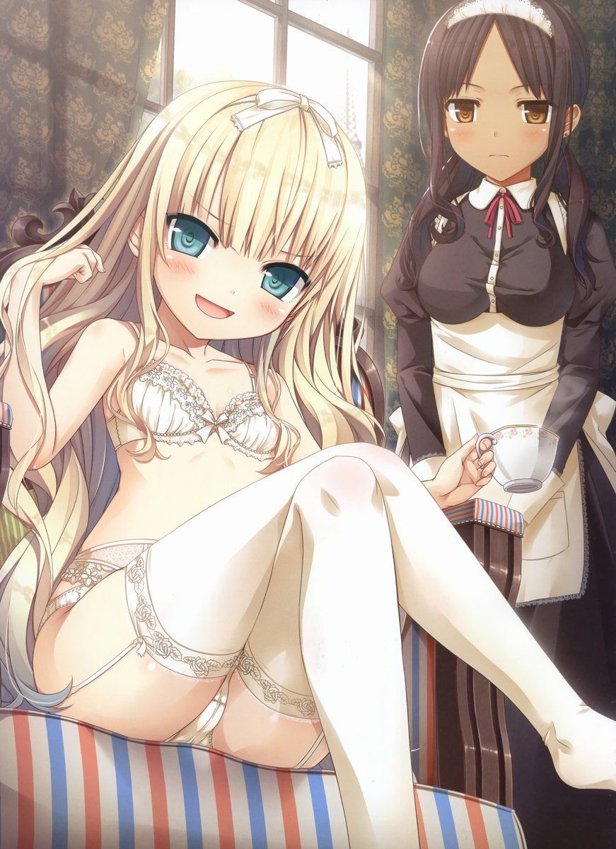 From high school girls to adult sisters! 2D erotic image of thighs too much garter belt 17