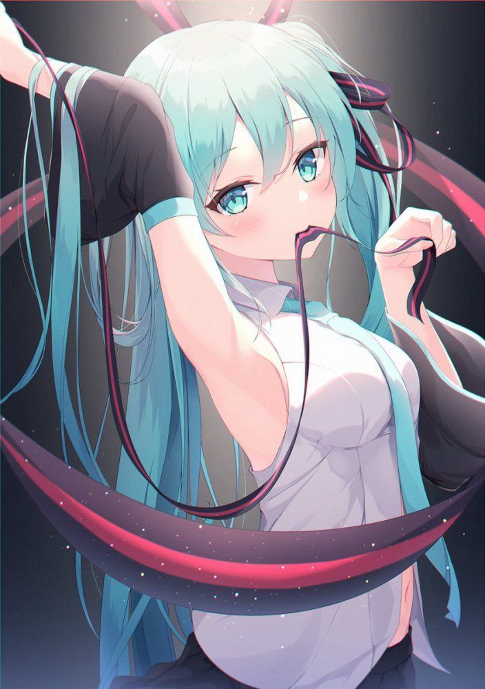 【Image】Vocaloid, H too warota wwww 2