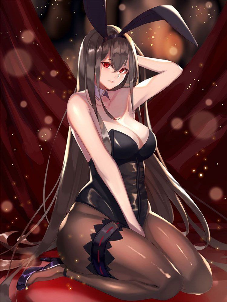 I collected erotic images of bunny girls 10