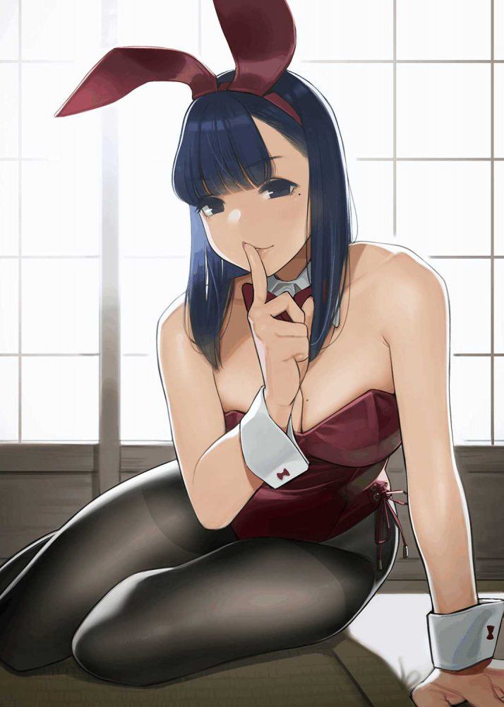 I collected erotic images of bunny girls 14