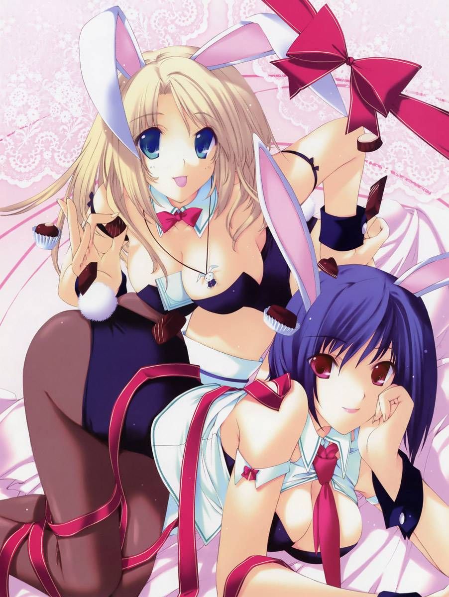 I collected erotic images of bunny girls 2