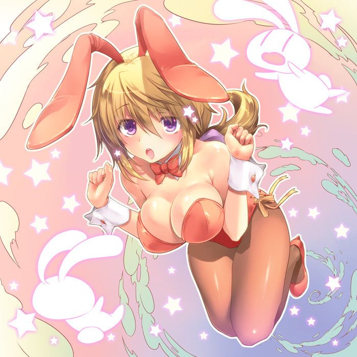I collected erotic images of bunny girls 5