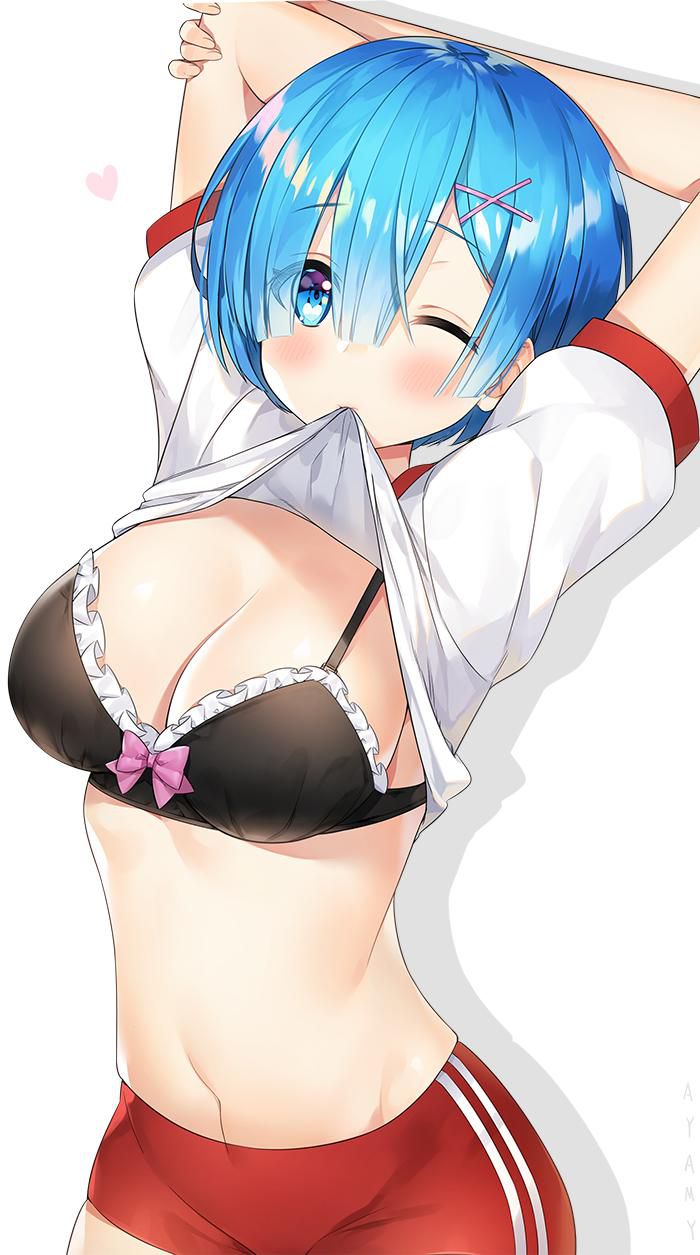 [2nd] Rem-chan's cute erotic image of [Re: Zero] Part 3 1