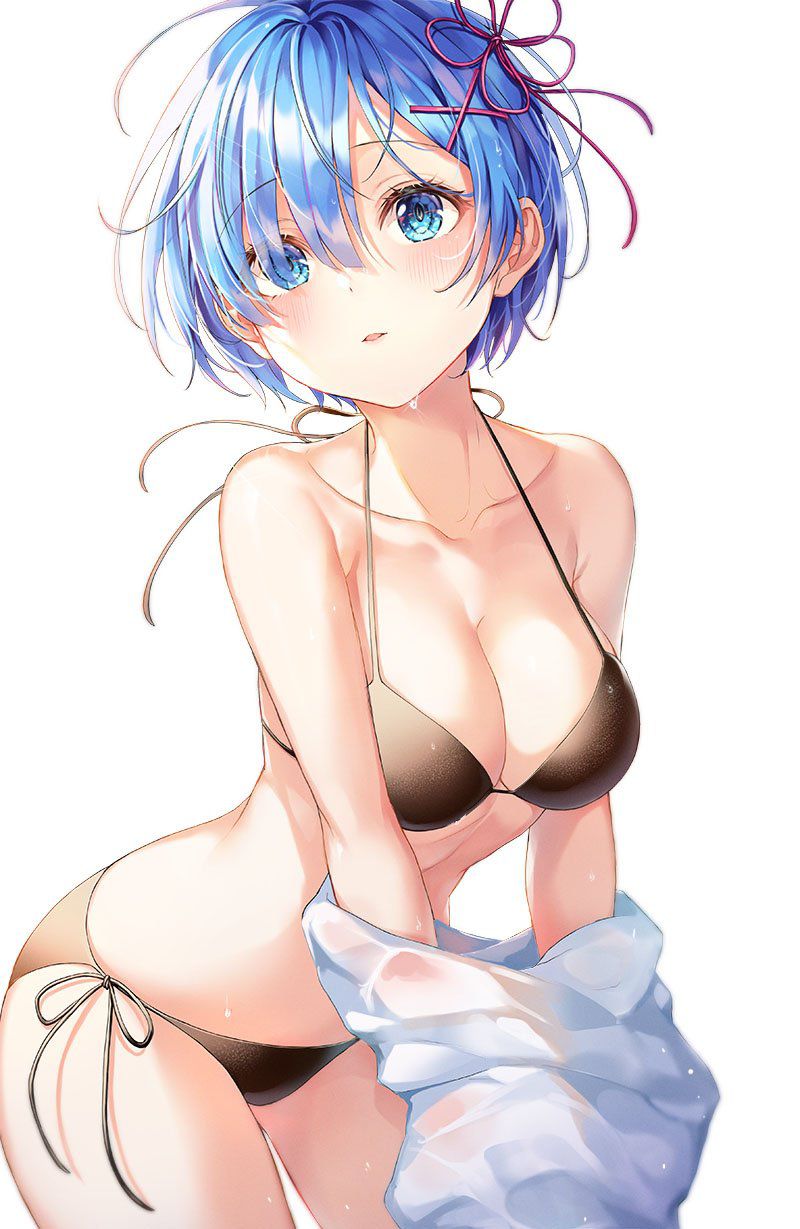 [2nd] Rem-chan's cute erotic image of [Re: Zero] Part 3 34