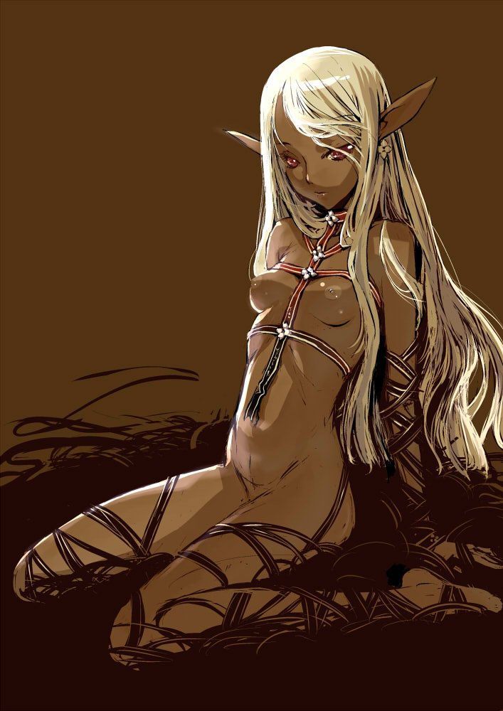 2D erotic image that I want to have sex with my sister of a cute and beautiful elf 21
