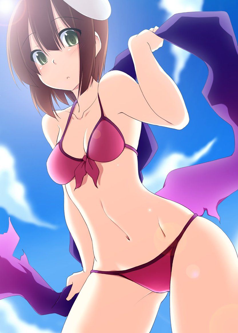 Moe illustration of a swimsuit 15